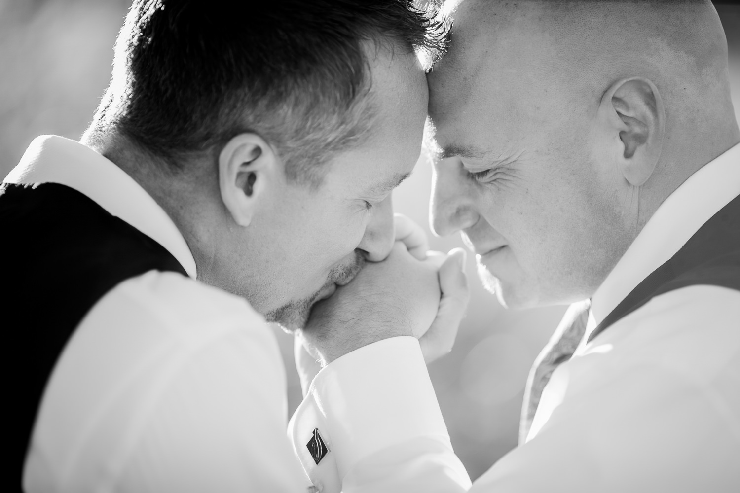 gay wedding best madison wisconsin wedding photographers artistic natural real